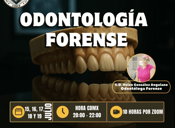 Captura de pantalla 2025-07-06 a las 1.38.11 a. m.